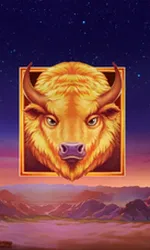 Buffalo's Sun 2